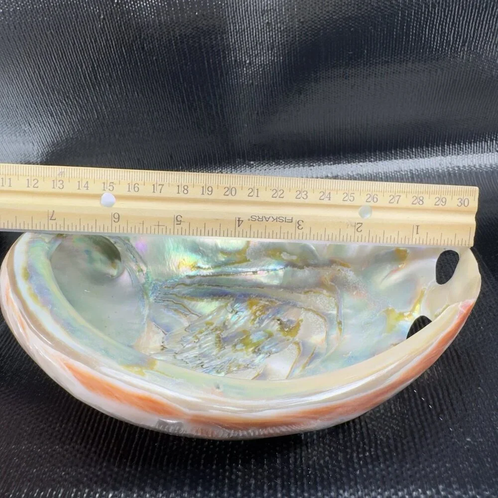 Natural Abalone Shell Large Dish Bowl Container Trinket Holder Iridescent Smooth